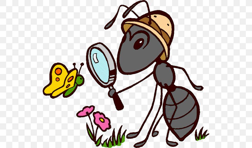 Ant Insect Cartoon, PNG, 542x480px, Ant, Ant Colony, Ant Colony Optimization  Algorithms, Ants, Art Download Free