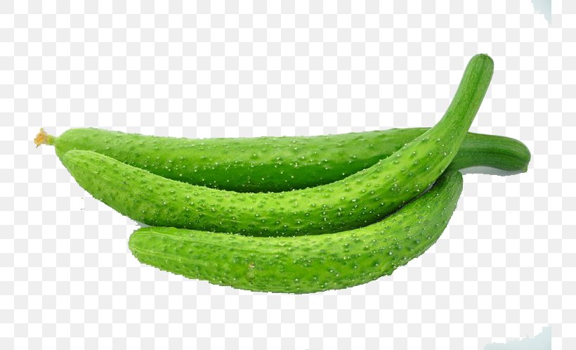 Cucumber Vegetable Food Melon Vitamin, PNG, 750x498px, Cucumber, Auglis, Cucumber Gourd And Melon Family, Cucumis, Diet Download Free