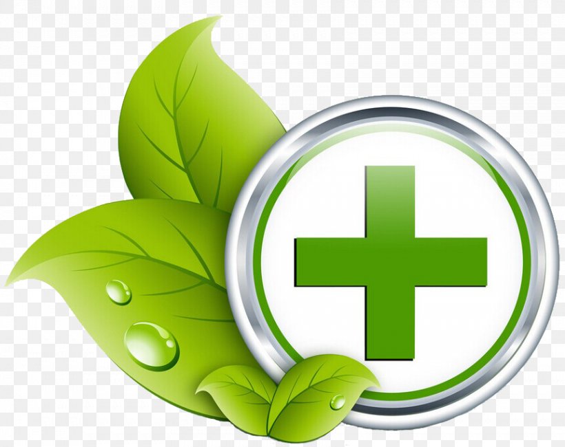 Health Care Medicine Icon, PNG, 861x683px, Health Care, Alternative Medicine, App Store, Data, Grass Download Free