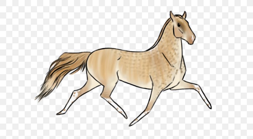 Mane Mustang Foal Stallion Colt, PNG, 600x450px, Mane, Animal Figure, Bridle, Colt, Foal Download Free