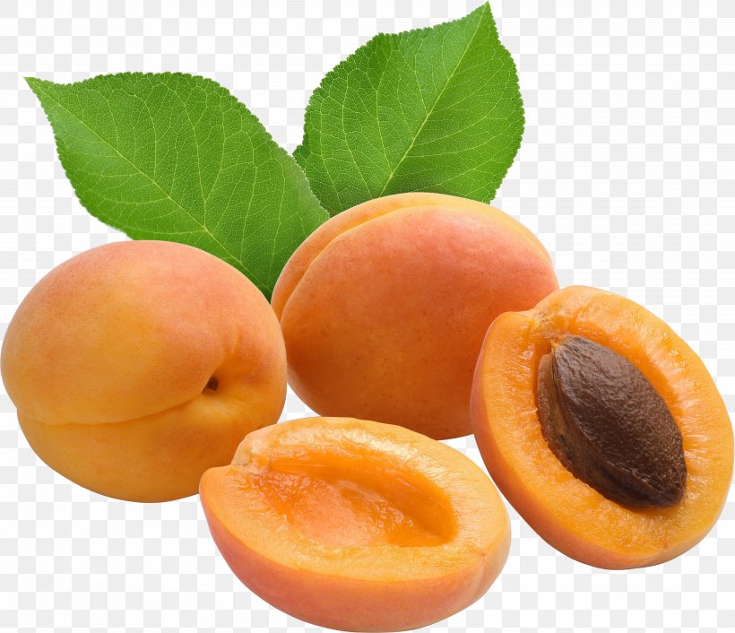 Apricot Fruit Auglis Food, PNG, 4167x3589px, Apricot, Amygdaloideae, Apricot Kernel, Apricot Oil, Auglis Download Free
