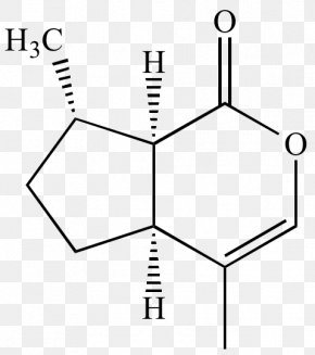 Organic Chemistry - Imine Carboxylic Acid Functional Group 1-Naphthaleneacetic Acid PNG