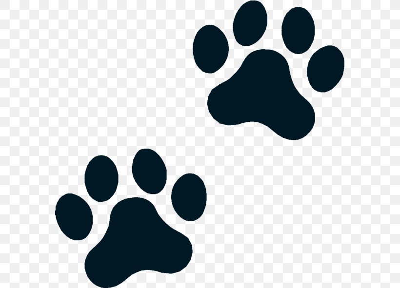 Polydactyl Cat Dog Puppy Kitten, PNG, 593x591px, Cat, Black And White, Cat Food, Dog, Dog Food Download Free