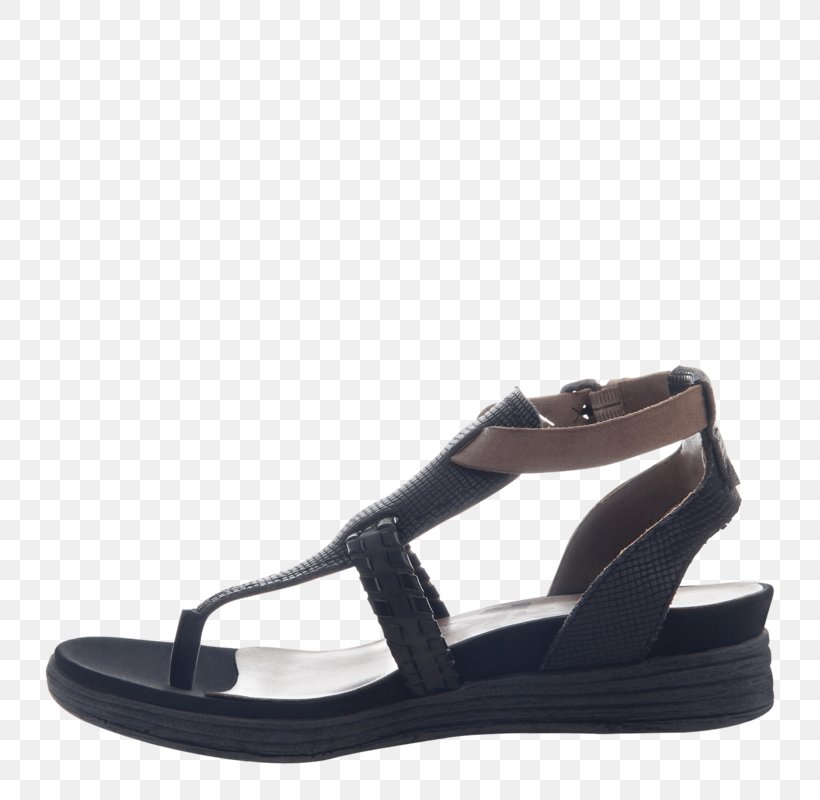 Sandal Shoe Flip-flops Suede Clothing, PNG, 800x800px, Sandal, Black, Black M, Clothing, Dress Download Free
