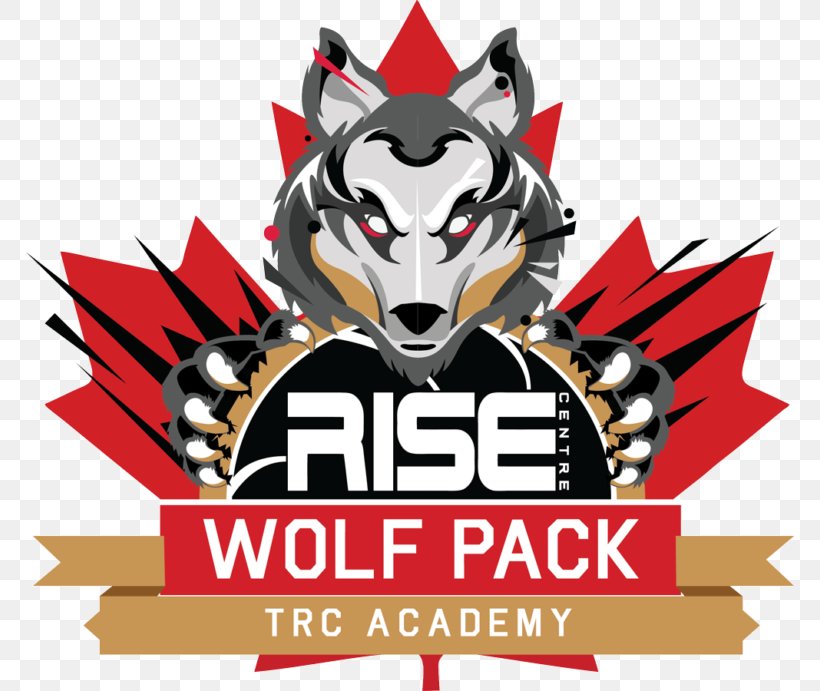 The Rise Centre Sport Academy Tournament School, PNG, 768x691px, Sport, Academy, Athlete, Basketball, Brand Download Free