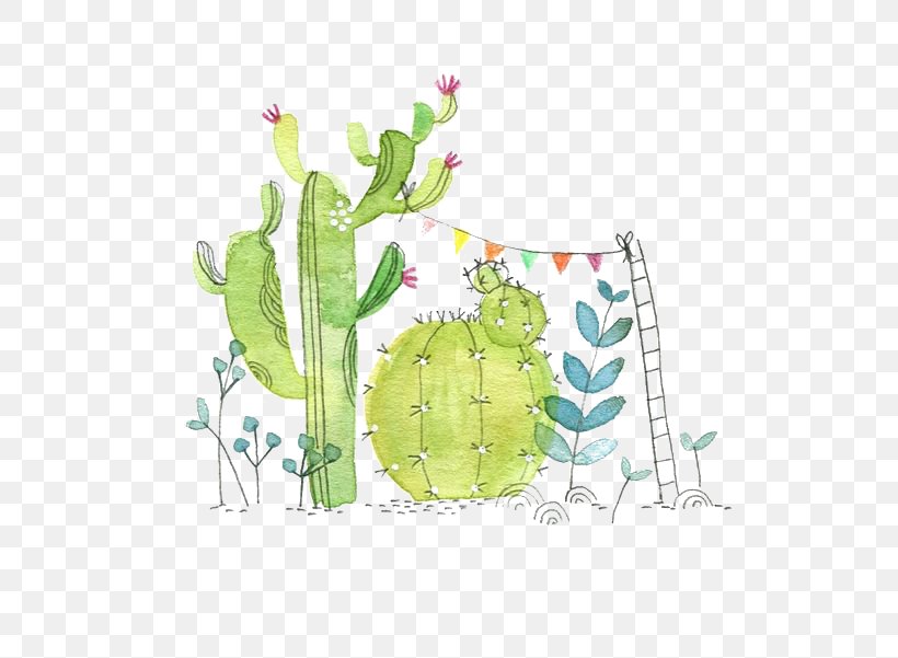 Cactaceae Watercolor Painting Paper Succulent Plant Illustration, PNG, 564x601px, Cactaceae, Art, Cactus Garden, Color, Drawing Download Free