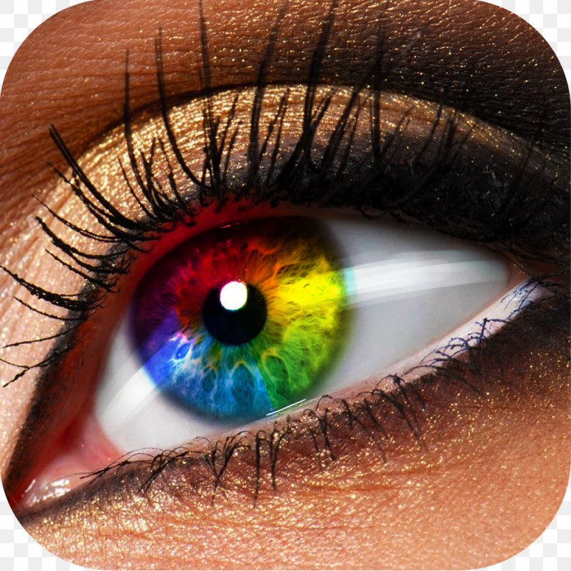 Eye Shadow Cosmetics Makeover Eye Color, PNG, 1024x1024px, Watercolor, Cartoon, Flower, Frame, Heart Download Free
