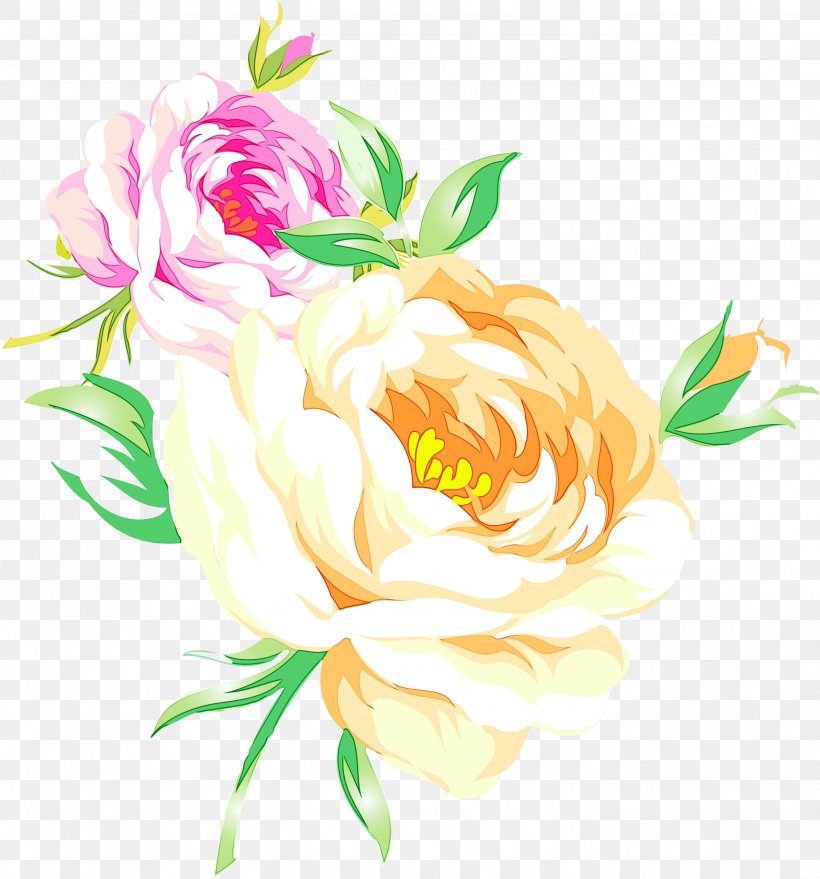 Garden Roses Cabbage Rose Floral Design Cut Flowers Illustration, PNG, 2796x3000px, Garden Roses, Botany, Cabbage Rose, Chinese Peony, Common Peony Download Free