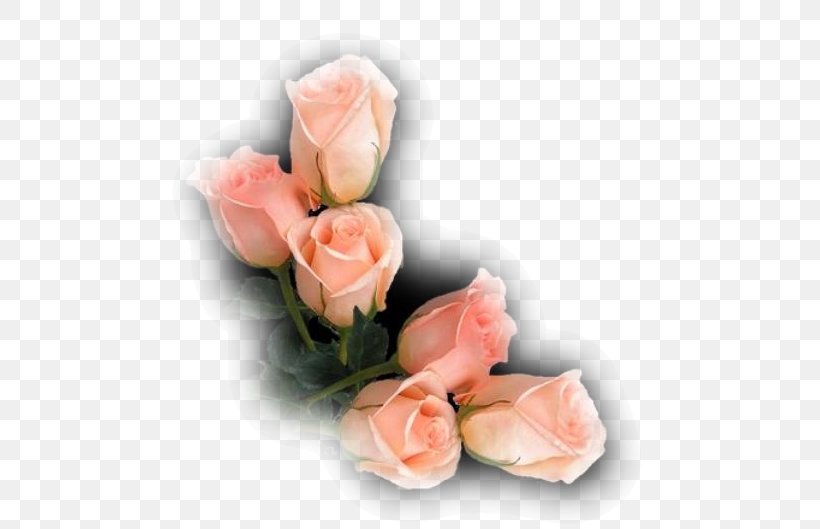 Garden Roses Cabbage Rose Cut Flowers Flower Bouquet, PNG, 506x529px, Garden Roses, Artificial Flower, Cabbage Rose, Color, Cut Flowers Download Free