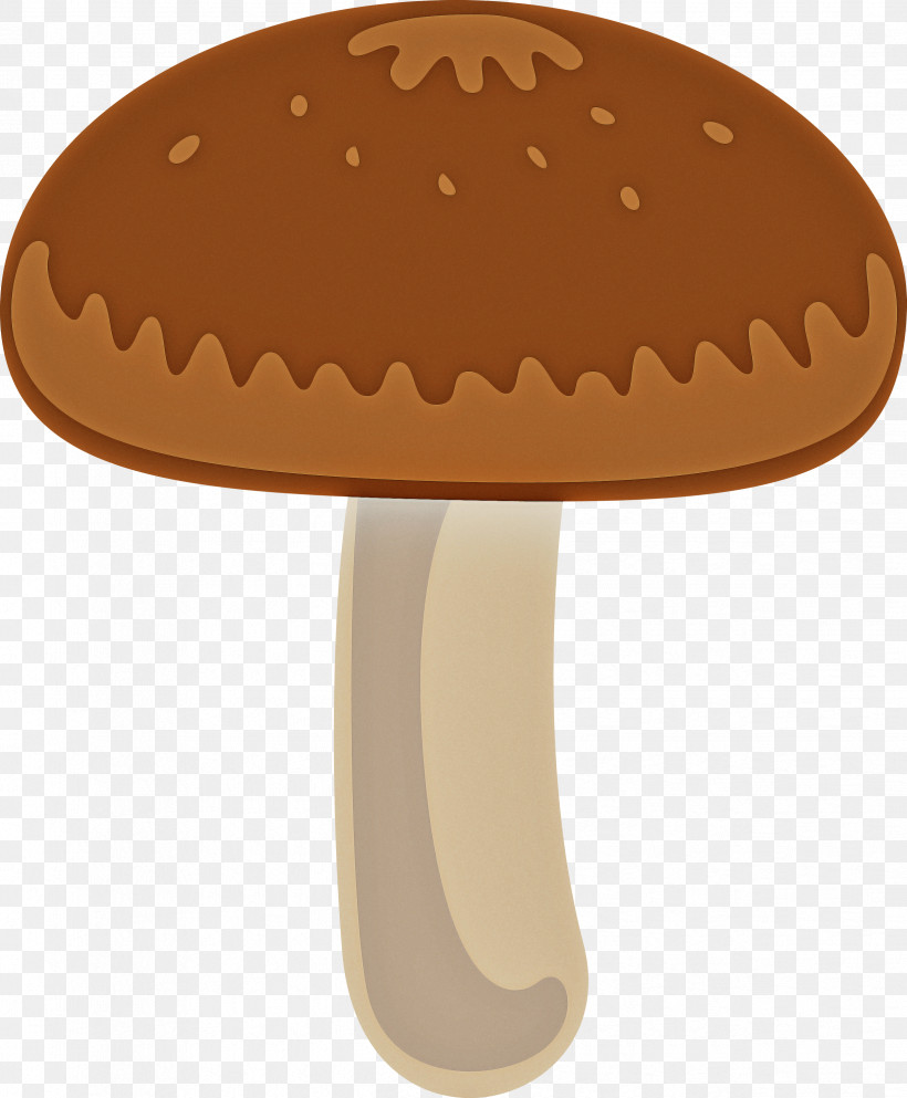 Mushroom, PNG, 2476x3000px, Mushroom, Agaricaceae, Agaricomycetes, Agaricus, Champignon Mushroom Download Free