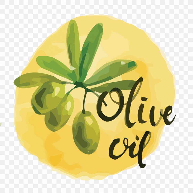 Olive Oil Bottle, PNG, 1000x1000px, Olive Oil, Bottle, Citrus, Cooking Oil, Drawing Download Free