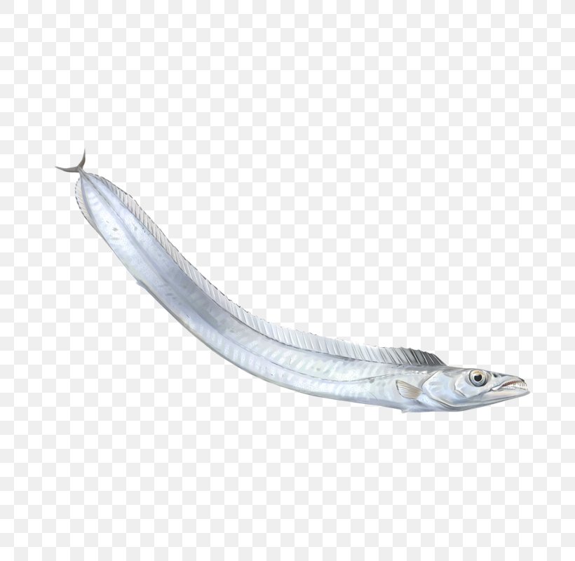 Sardine Oily Fish Reptile Capelin, PNG, 800x800px, Sardine, Capelin, Fin, Fish, Herring Download Free