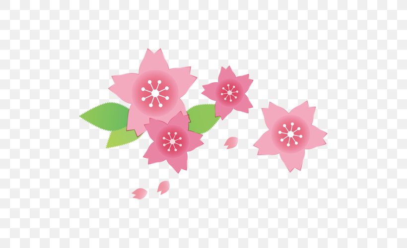 Cherry Blossom Illustration Pink Spring Japan, PNG, 500x500px, Cherry Blossom, April, Color, Flower, Hanami Download Free