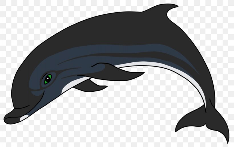 Common Bottlenose Dolphin Short-beaked Common Dolphin White-beaked Dolphin Tucuxi Wholphin, PNG, 1024x645px, Common Bottlenose Dolphin, Art, Beak, Bird, Bottlenose Dolphin Download Free