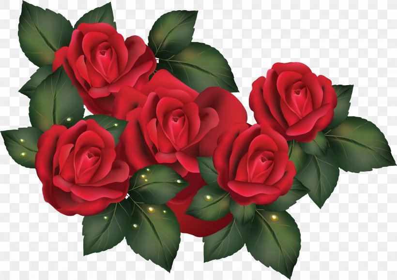 Rose Flower Wallpaper, PNG, 6527x4616px, Rose, Cut Flowers, Floral Design, Floribunda, Floristry Download Free