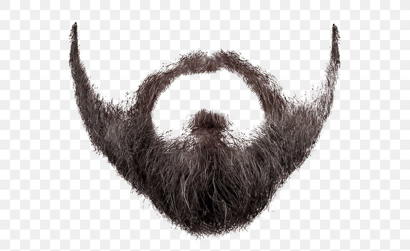 Movember World Beard And Moustache Championships Clip Art, PNG, 600x503px, Watercolor, Cartoon, Flower, Frame, Heart Download Free