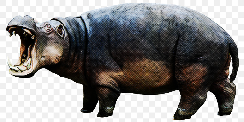 Rhinoceros Blog Snout Number, PNG, 800x412px, Rhinoceros, Blog, Number, Snout Download Free