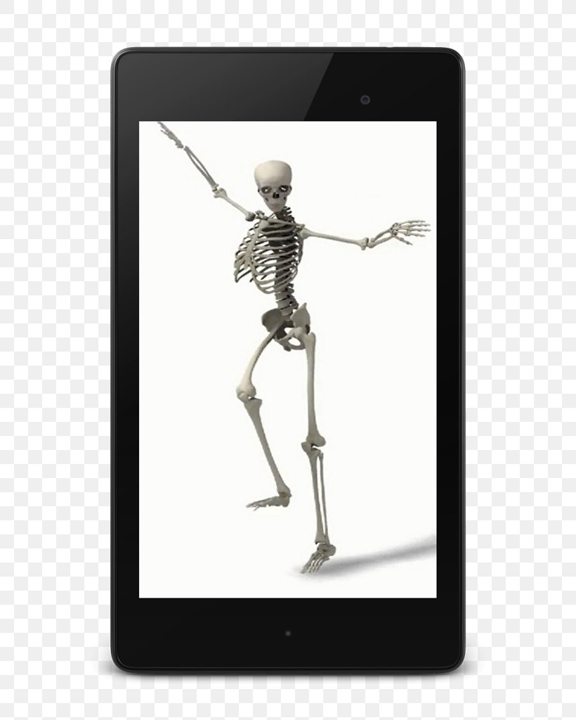 Skeleton Joint, PNG, 682x1024px, Skeleton, Joint Download Free