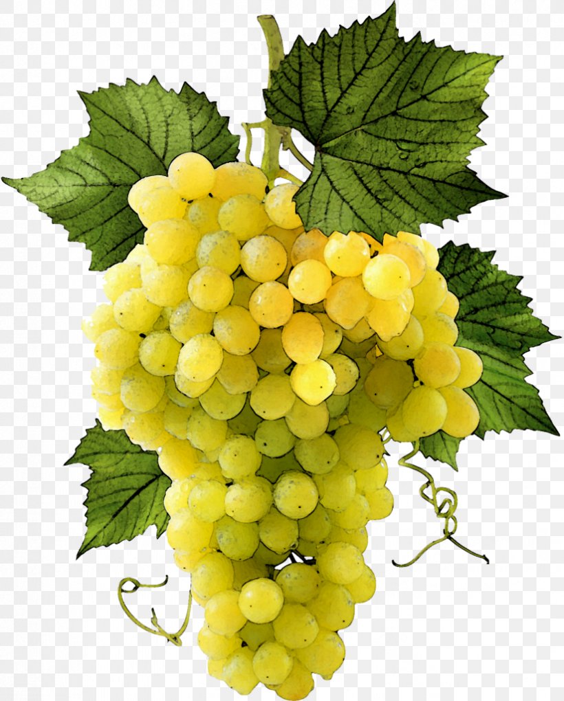 Sultana Common Grape Vine Grape Leaves Seedless Fruit, PNG, 823x1024px, Sultana, Article, Common Grape Vine, Food, Fototapet Download Free