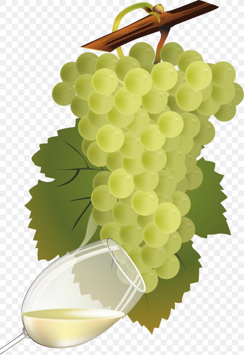 White Wine Chenin Blanc Pinot Blanc Sauvignon Blanc, PNG, 1506x2190px, Wine, Chenin Blanc, Common Grape Vine, Concord Grape, Food Download Free