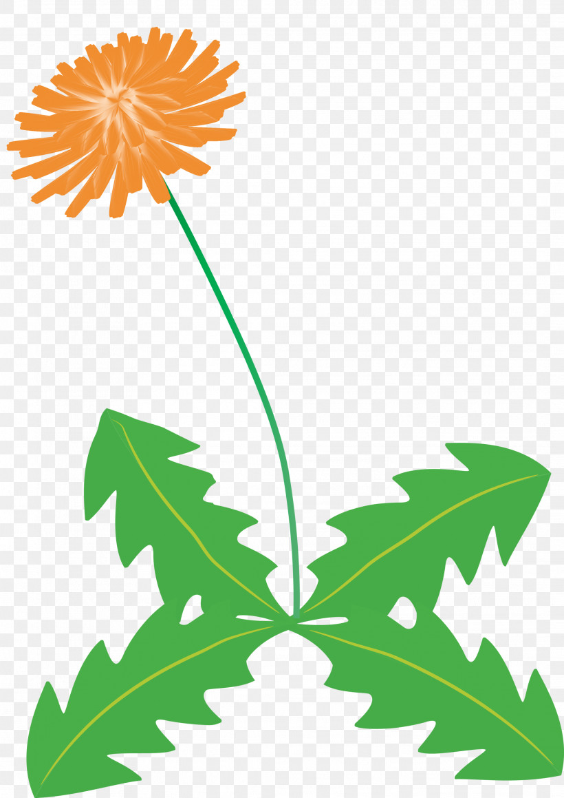 Dandelion Flower, PNG, 2121x2999px, Dandelion Flower, Arums, Branch, Daisy Family, Floral Design Download Free