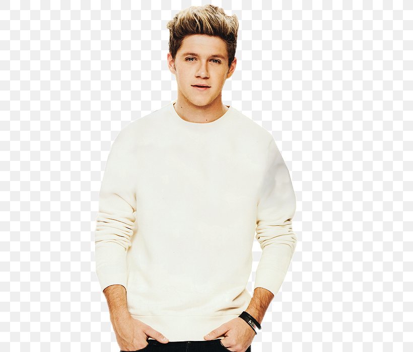 Niall Horan One Direction Guitar 5 Seconds Of Summer, PNG, 500x700px, Watercolor, Cartoon, Flower, Frame, Heart Download Free