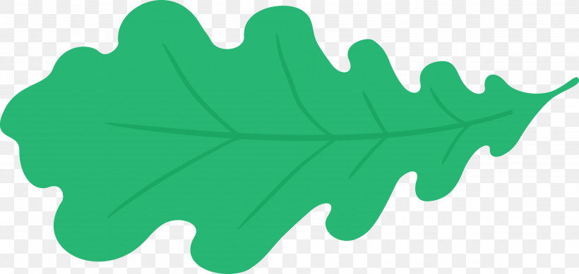 Oak Leaf, PNG, 3174x1509px, Oak Leaf, Biology, Geometry, Green, Leaf Download Free