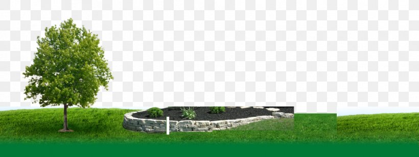 Tree Lawn Green Interdev, LLC Shoe, PNG, 983x370px, Tree, Energy, Field, Grass, Grass Family Download Free