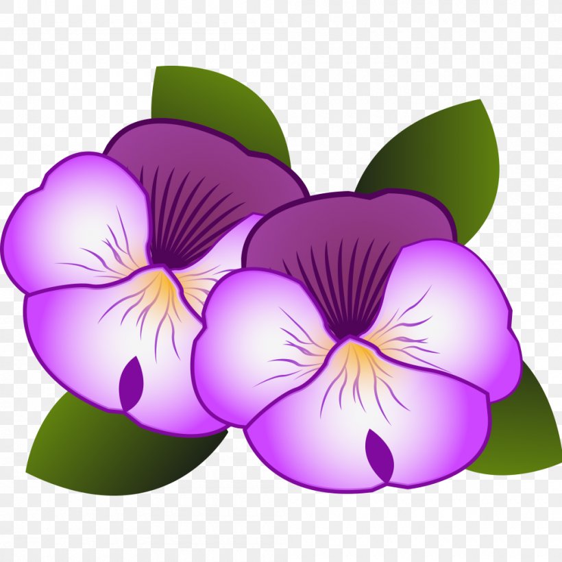Vector Graphics Image Download, PNG, 1000x1000px, Drawing, Flower, Flowering Plant, Magenta, Moth Orchid Download Free