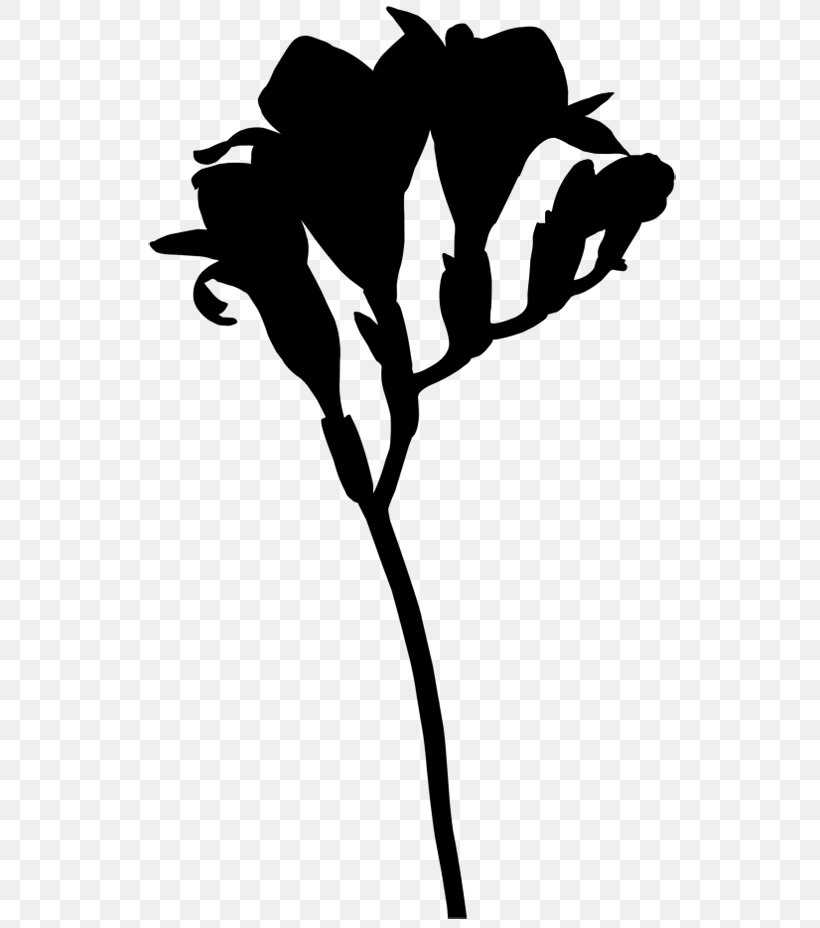 Clip Art Flower Plant Stem Leaf Silhouette, PNG, 560x928px, Flower, Black M, Blackandwhite, Branching, Flowering Plant Download Free