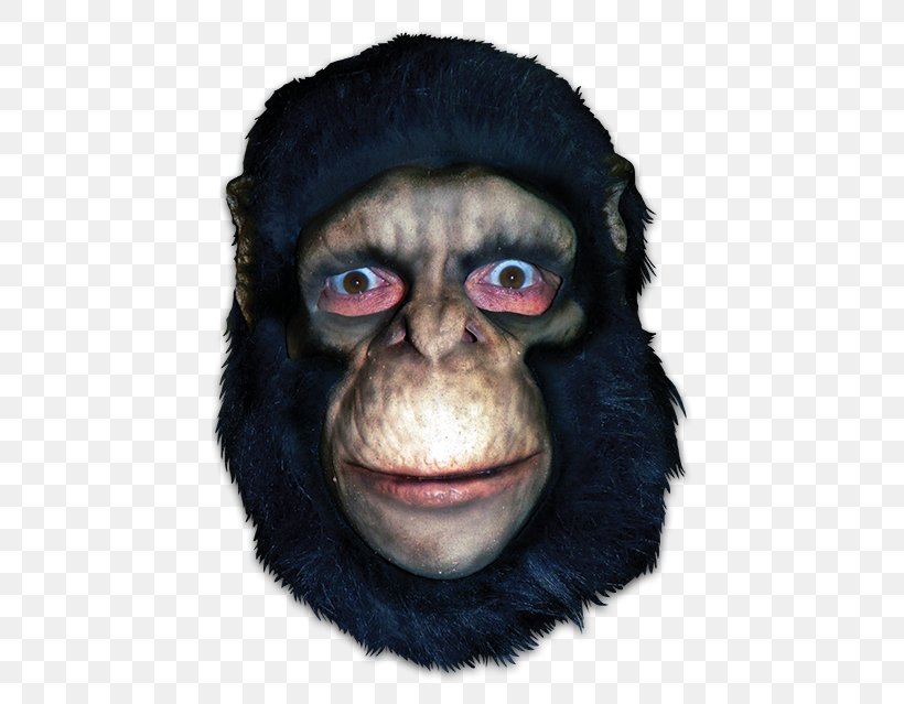 Common Chimpanzee Gorilla Mask Monkey Primate, PNG, 436x639px, Common Chimpanzee, Ape, Chimpanzee, Costume, Face Download Free
