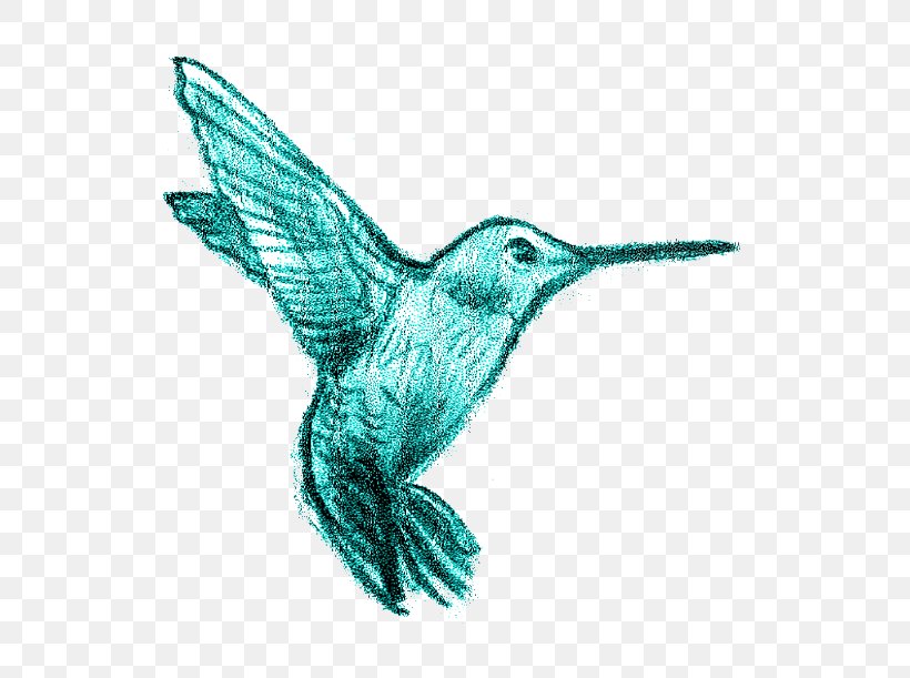 Hummingbird Beak Wing Fauna, PNG, 755x611px, Bird, Animal, Beak, Fauna, Feather Download Free