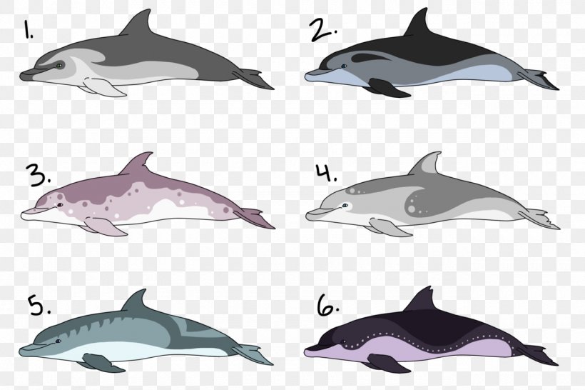 Porpoise Rough-toothed Dolphin Common Bottlenose Dolphin White-beaked Dolphin Spinner Dolphin, PNG, 1280x853px, Porpoise, Automotive Design, Cetacea, Common Bottlenose Dolphin, Dolphin Download Free