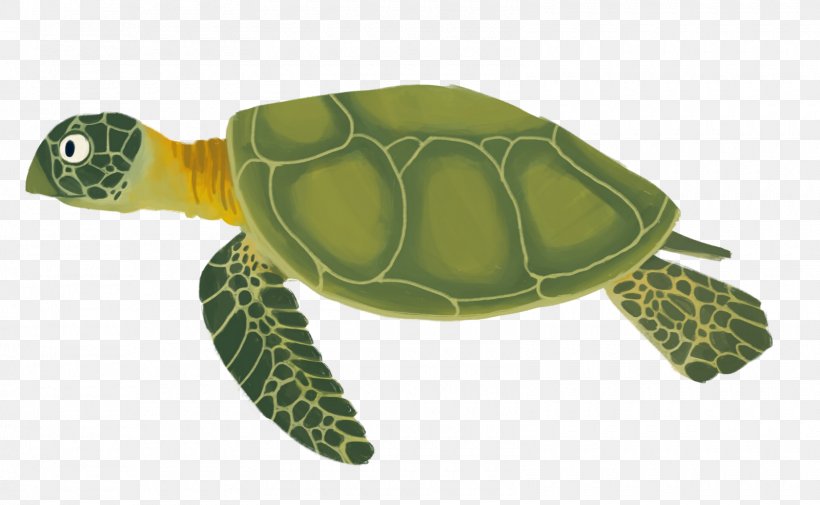 Sea Turtle Reptile Animation, PNG, 1600x986px, Turtle, Animated Cartoon, Animation, Cartoon, Educational Animation Download Free