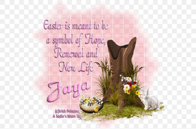 Cat Easter Font, PNG, 565x542px, Cat, Easter, Flower, Organism, Text Download Free