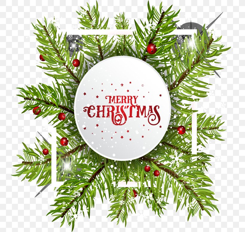 Christmas Ornament Christmas Tree Christmas Decoration, PNG, 747x774px, Christmas, Branch, Christmas Decoration, Christmas Ornament, Christmas Tree Download Free