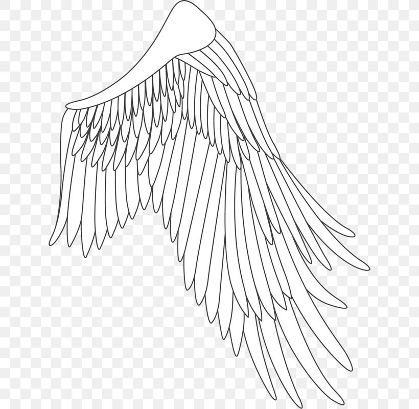 Line Art Drawing White /m/02csf Point, PNG, 630x800px, Line Art, Area, Artwork, Beak, Black And White Download Free