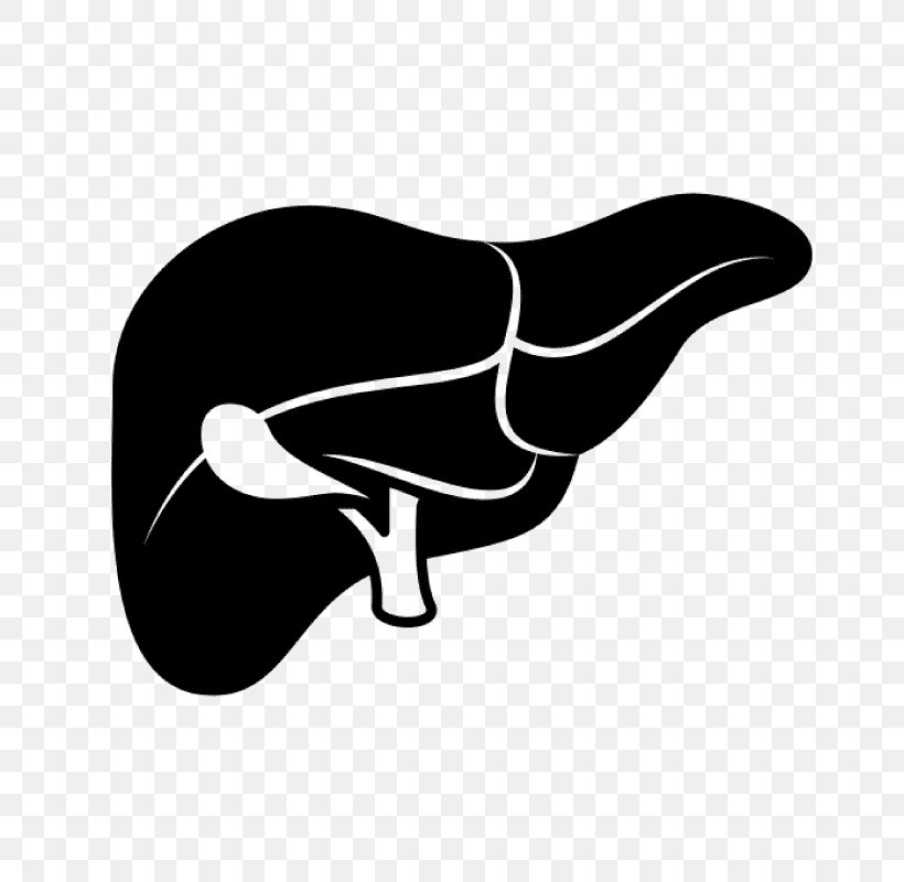 Liver Failure Liver Function Tests Cirrhosis, PNG, 800x800px, Liver, Beak, Bird, Black, Black And White Download Free