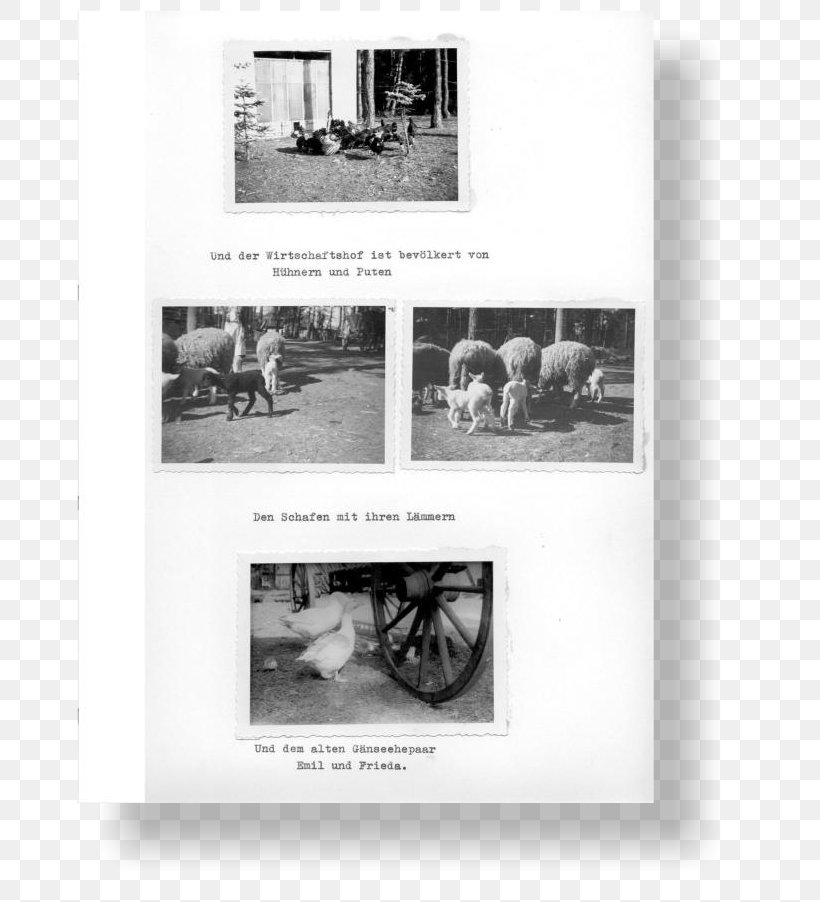 Picture Frames Brochure, PNG, 686x902px, Picture Frames, Black And White, Brochure, History, Monochrome Download Free