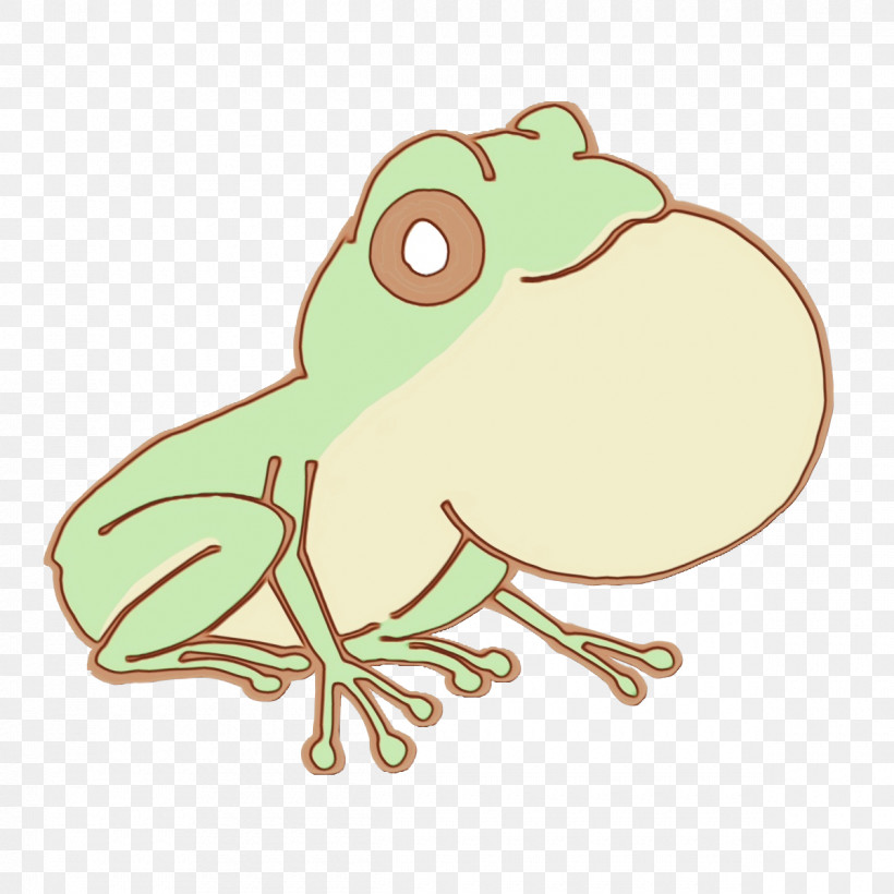 Toad True Frog Tree Frog Frogs Beak, PNG, 1200x1200px, Watercolor, Beak, Frogs, Paint, Toad Download Free
