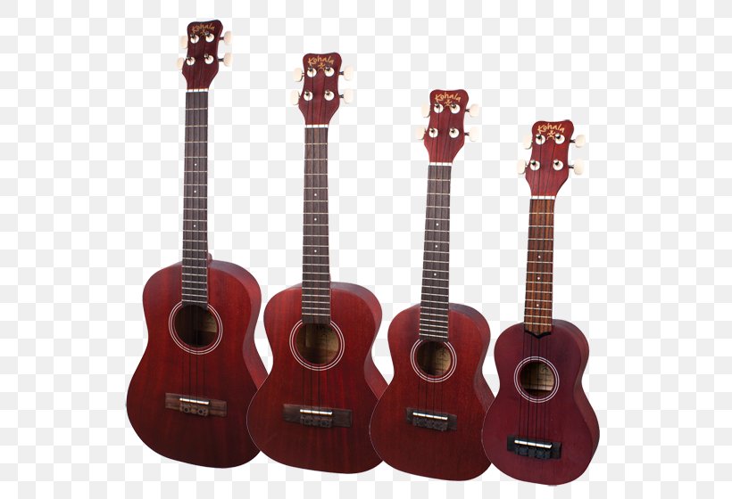 Acoustic Guitar Kohala KO-T Kine'O Tenor Ukulele Tiple Acoustic-electric Guitar, PNG, 576x560px, Watercolor, Cartoon, Flower, Frame, Heart Download Free