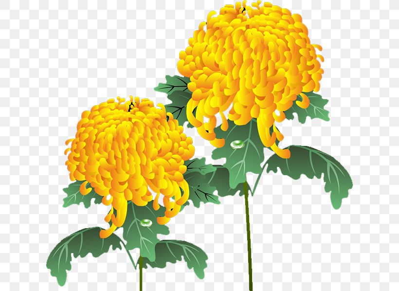 Chrysanthemum Yellow Dahlia Floral Design Flower, PNG, 632x598px, Chrysanthemum, Calendula, Chrysanths, Dahlia, Daisy Family Download Free