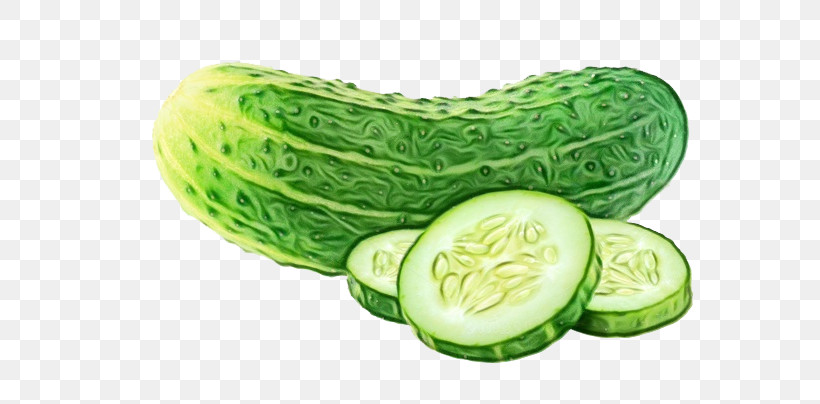 Cucumber Natural Food Superfood Plant Fruit, PNG, 680x404px, Watercolor, Biology, Cucumber, Fruit, Natural Food Download Free