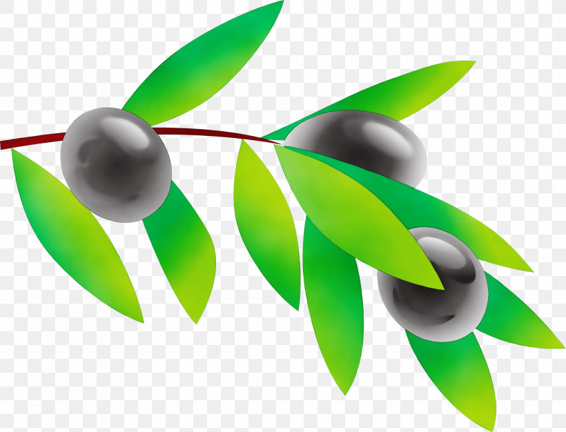 Green Leaf Plant Logo Flower, PNG, 1920x1468px, Watercolor, Flower, Green, Leaf, Logo Download Free