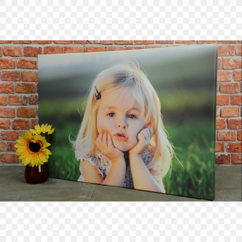 Motion Photography Canvas Print Apple, PNG, 1200x1200px, Motion, Apple, Canvas, Canvas Print, Child Download Free