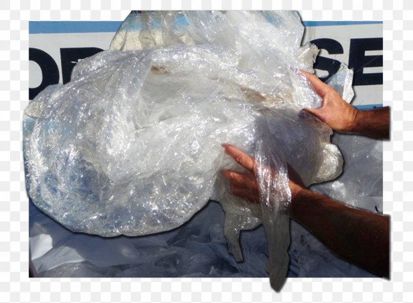 Plastic Bag Bottled Water Polyethylene, PNG, 1024x752px, Plastic Bag, Bottle, Bottled Water, Fish, Marine Mammal Download Free