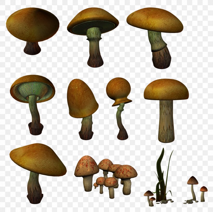 Agaricaceae Edible Mushroom Fungus Clip Art, PNG, 3190x3184px, Agaricaceae, Edible Mushroom, Fungus, Gratis, Griby Download Free