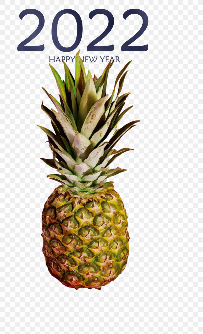 Pineapple, PNG, 1821x3000px, Watercolor, Biology, Fruit, Paint, Pineapple Download Free