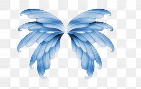 Transparent Wings - Wing Flight Aile PNG