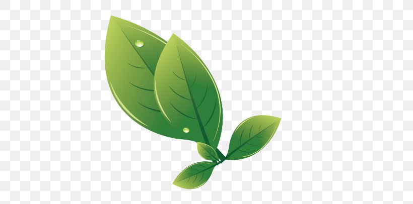 Leaf Euclidean Vector Drawing, PNG, 720x406px, Leaf, Bioveganshopit, Chemical Element, Cosmetics, Dessin Animxc3xa9 Download Free